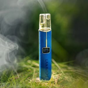 LANA皮革主機藍色